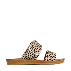 Women's Doti